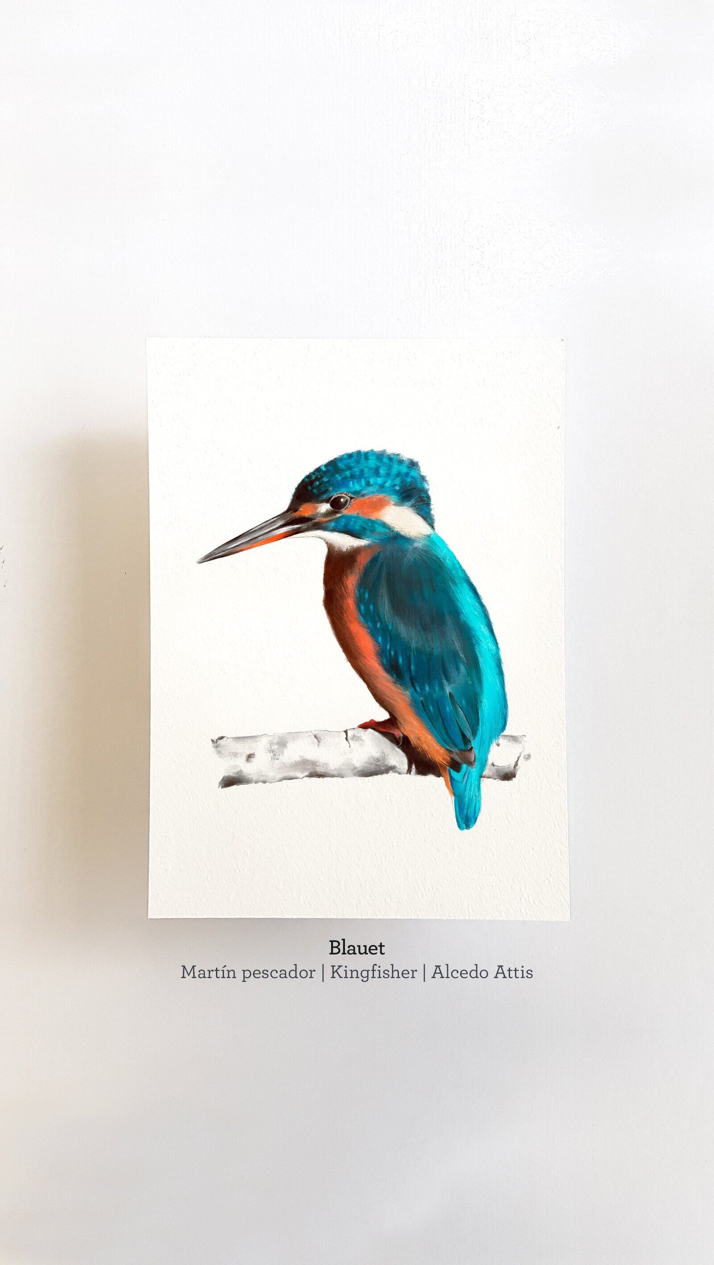 Print BLAUET