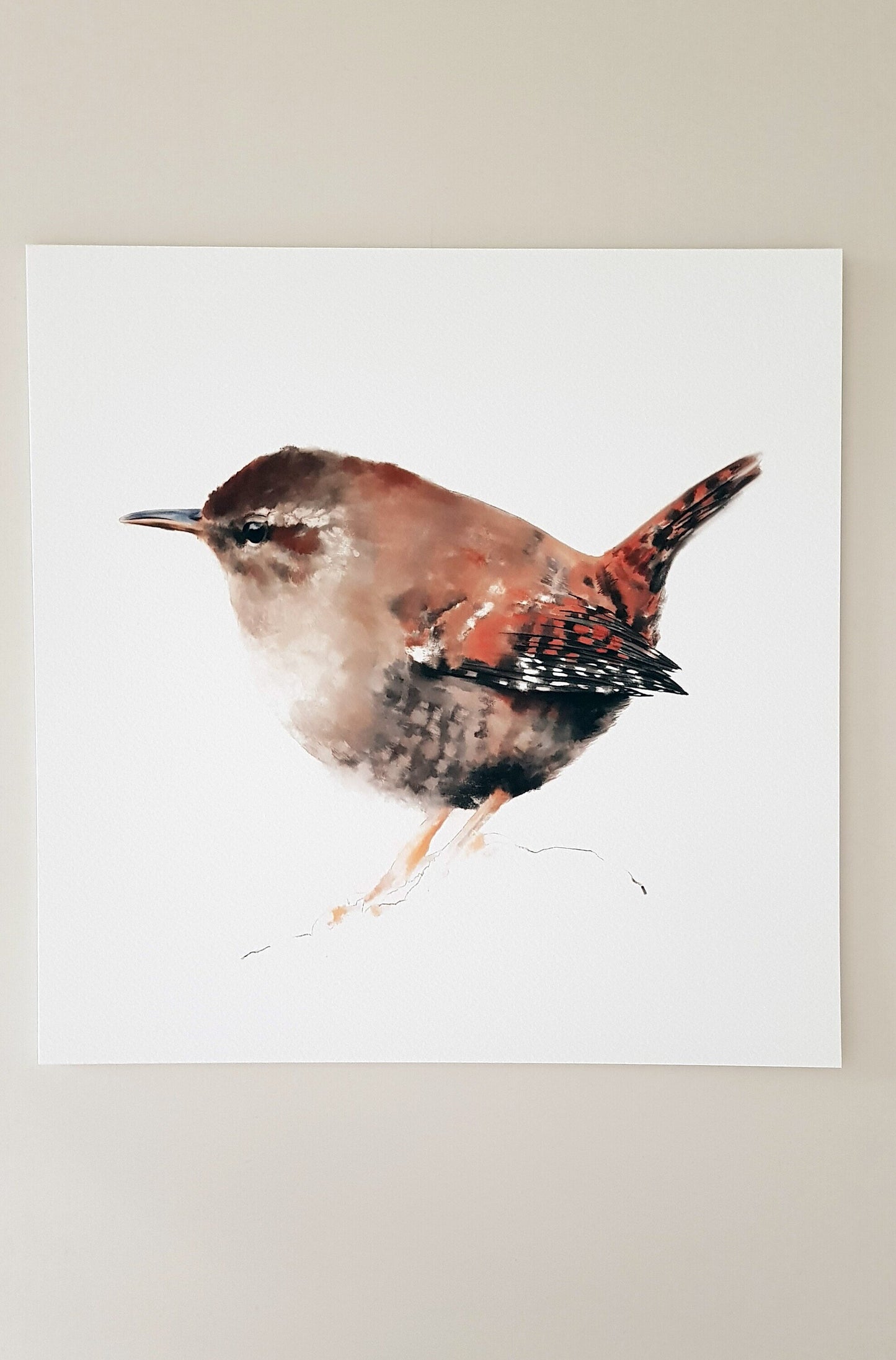 Print CARGOLET (Edició limitada)