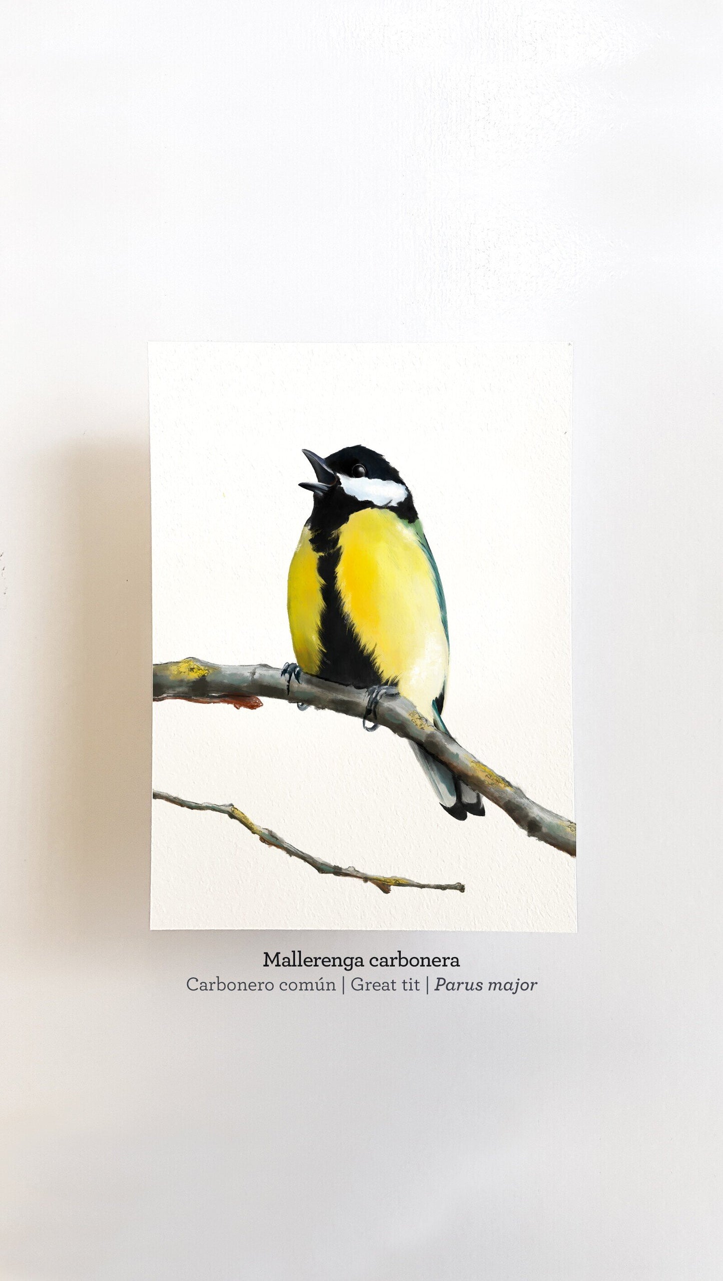 Print MALLERENGA CARBONERA
