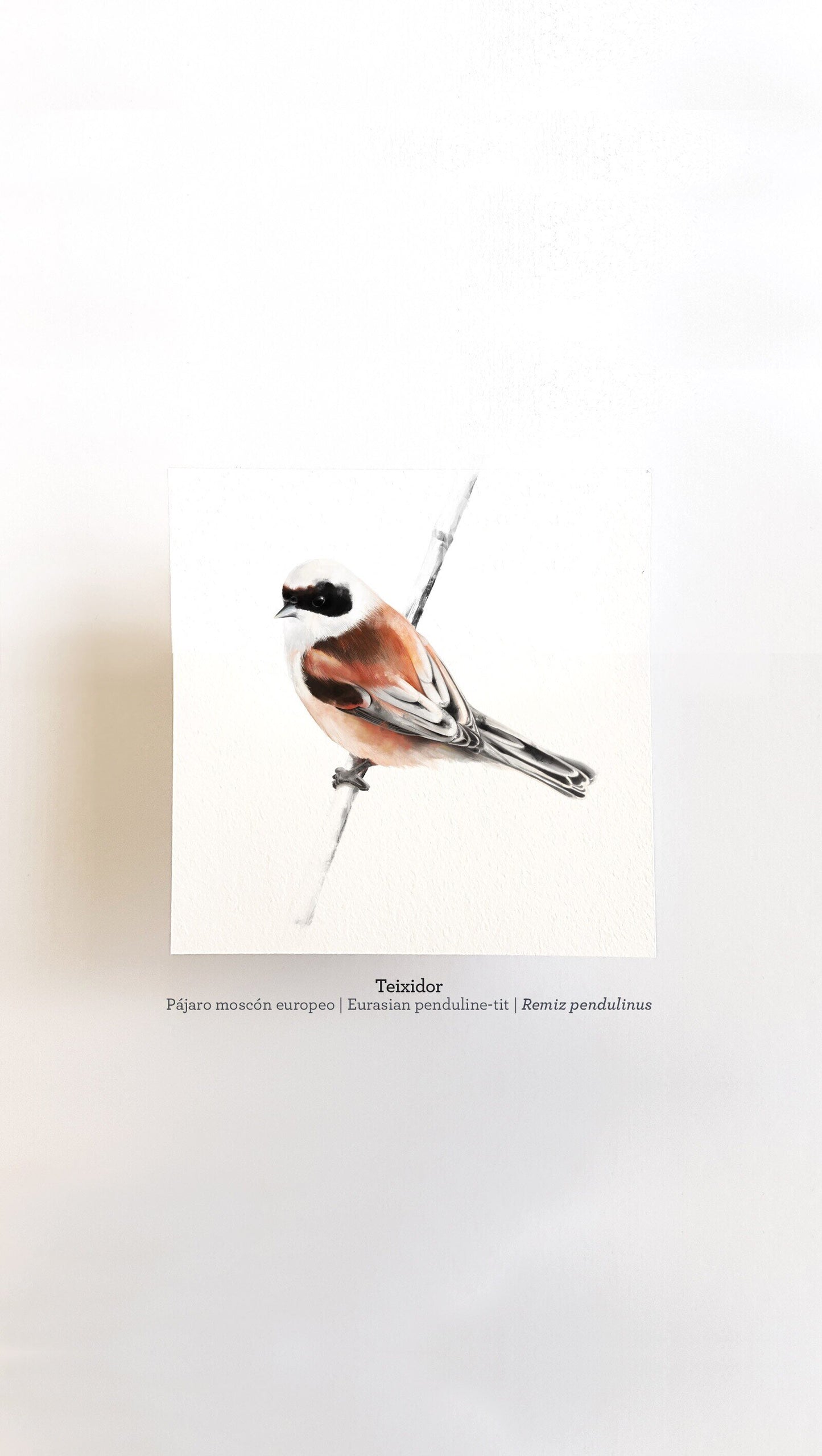 Print TEIXIDOR
