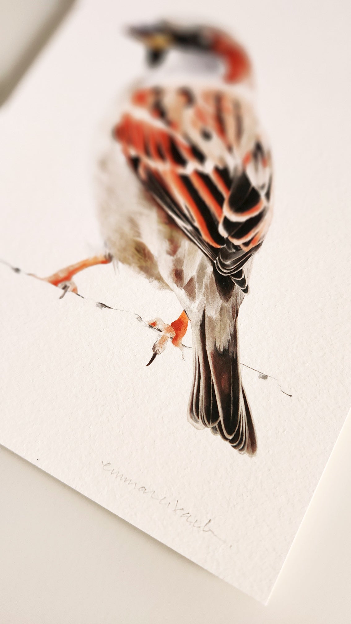 Print PARDAL