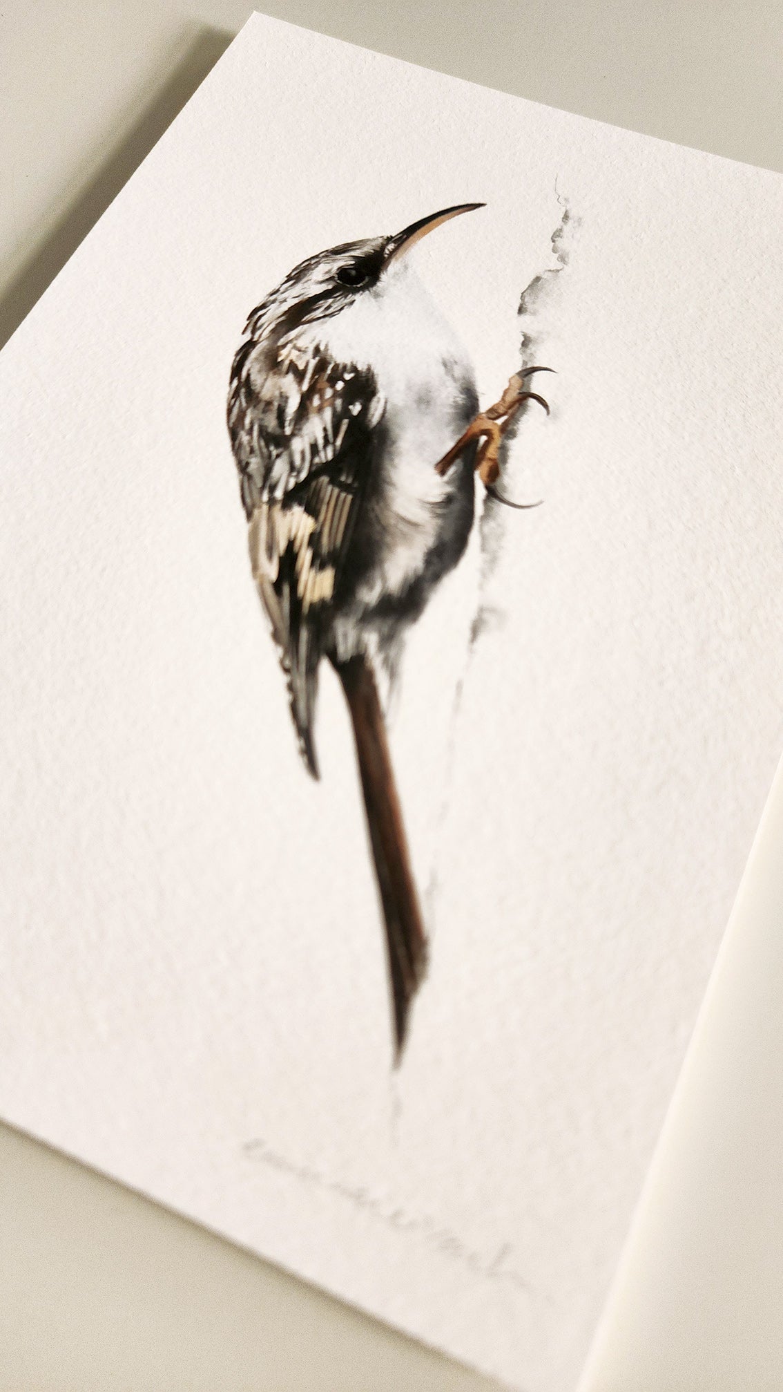 Print RASPINELL