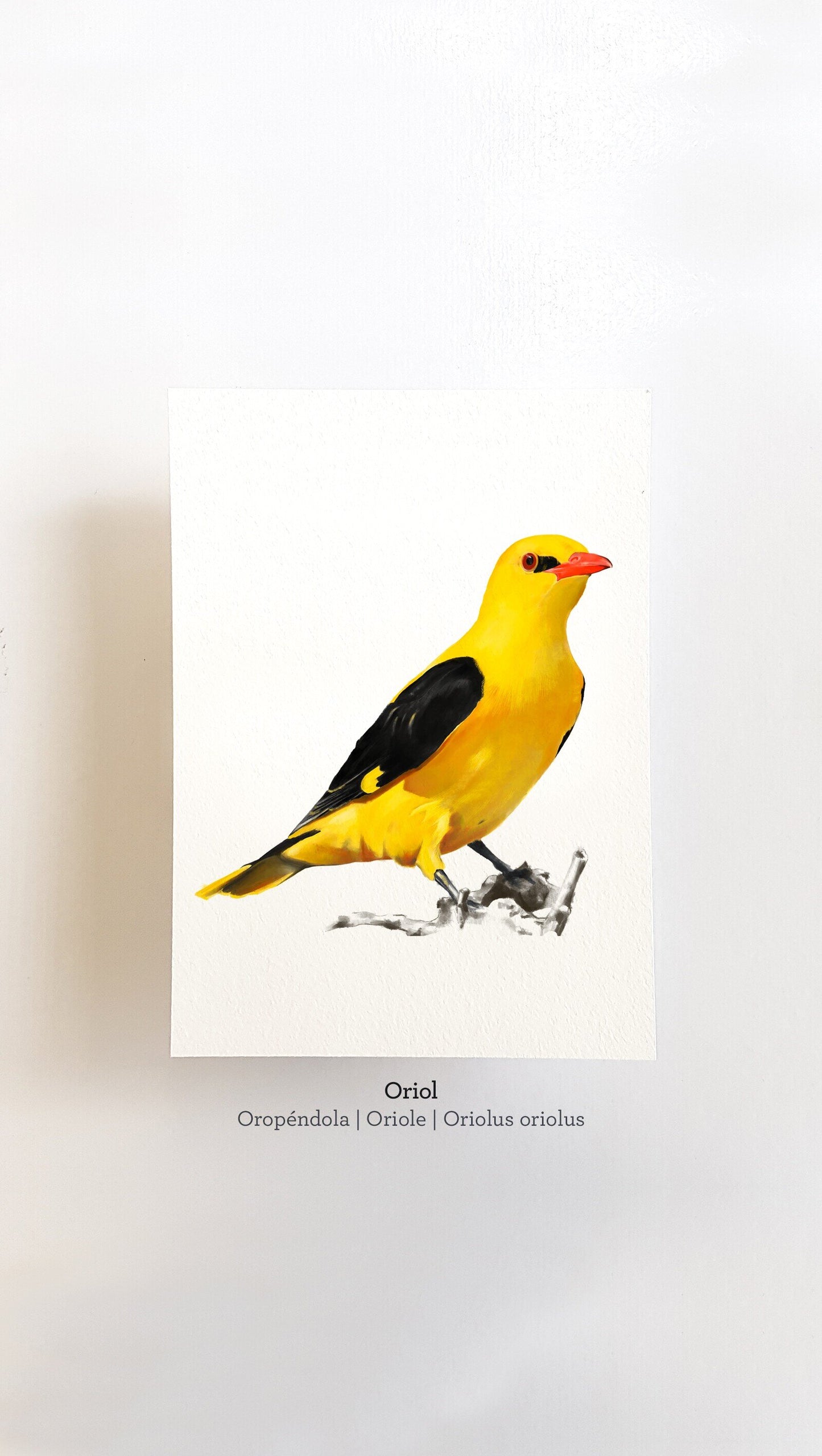 Print ORIOL
