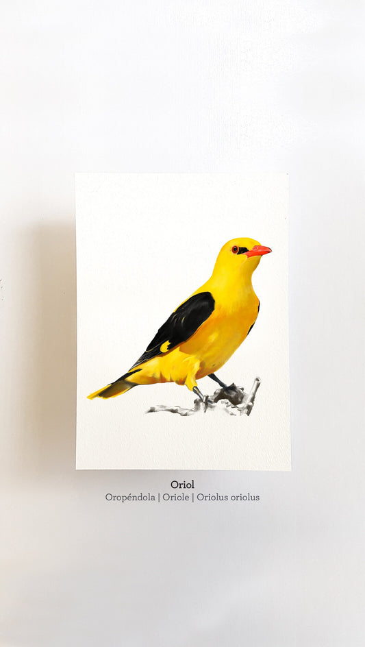 Print ORIOL