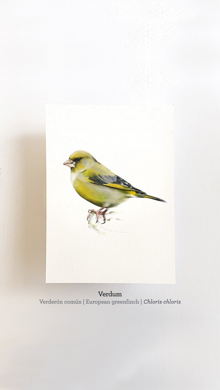 Print VERDUM