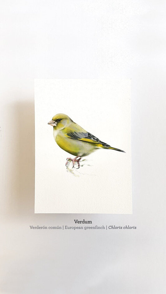 Print VERDUM
