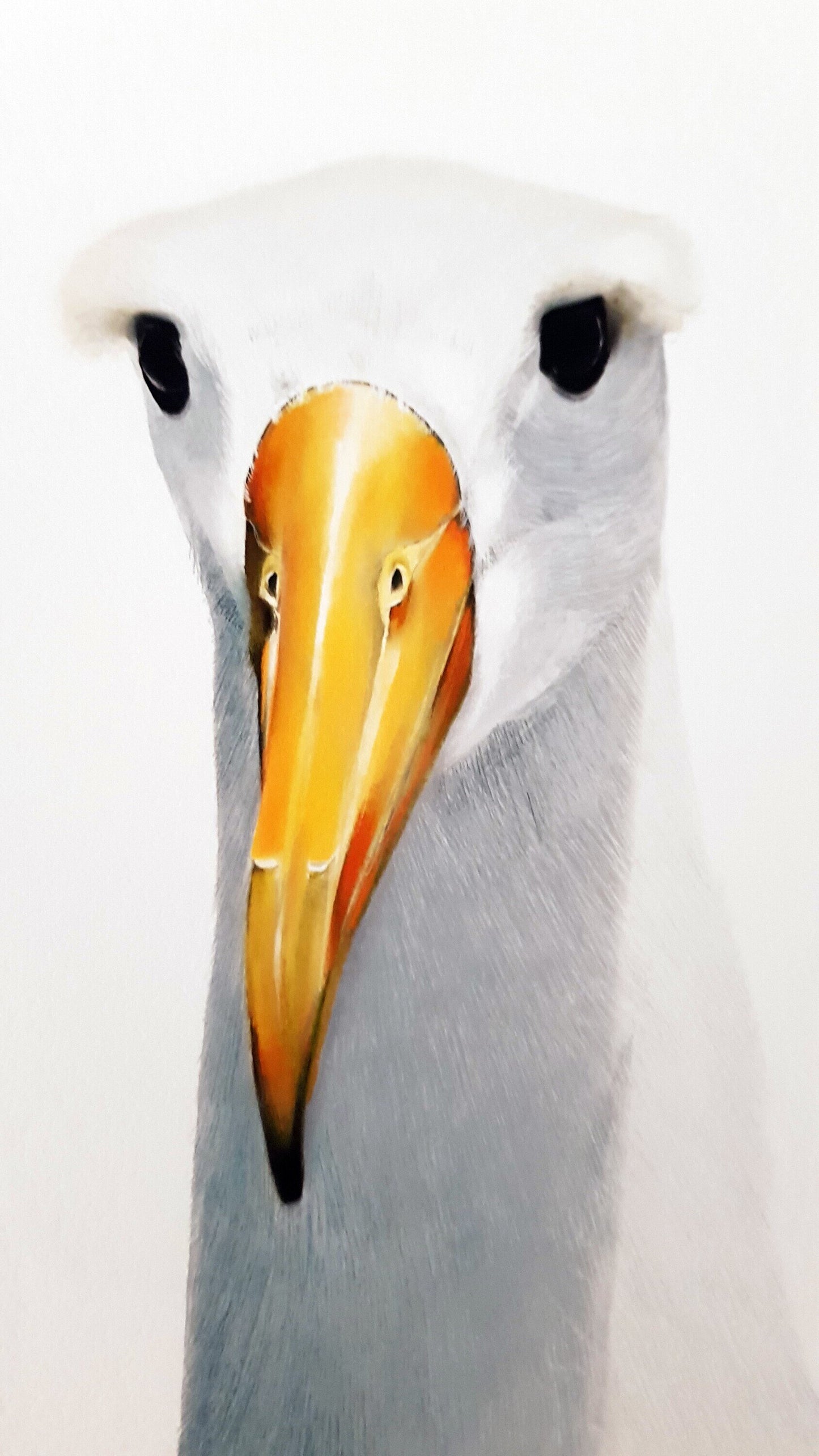 Print ALBATROS