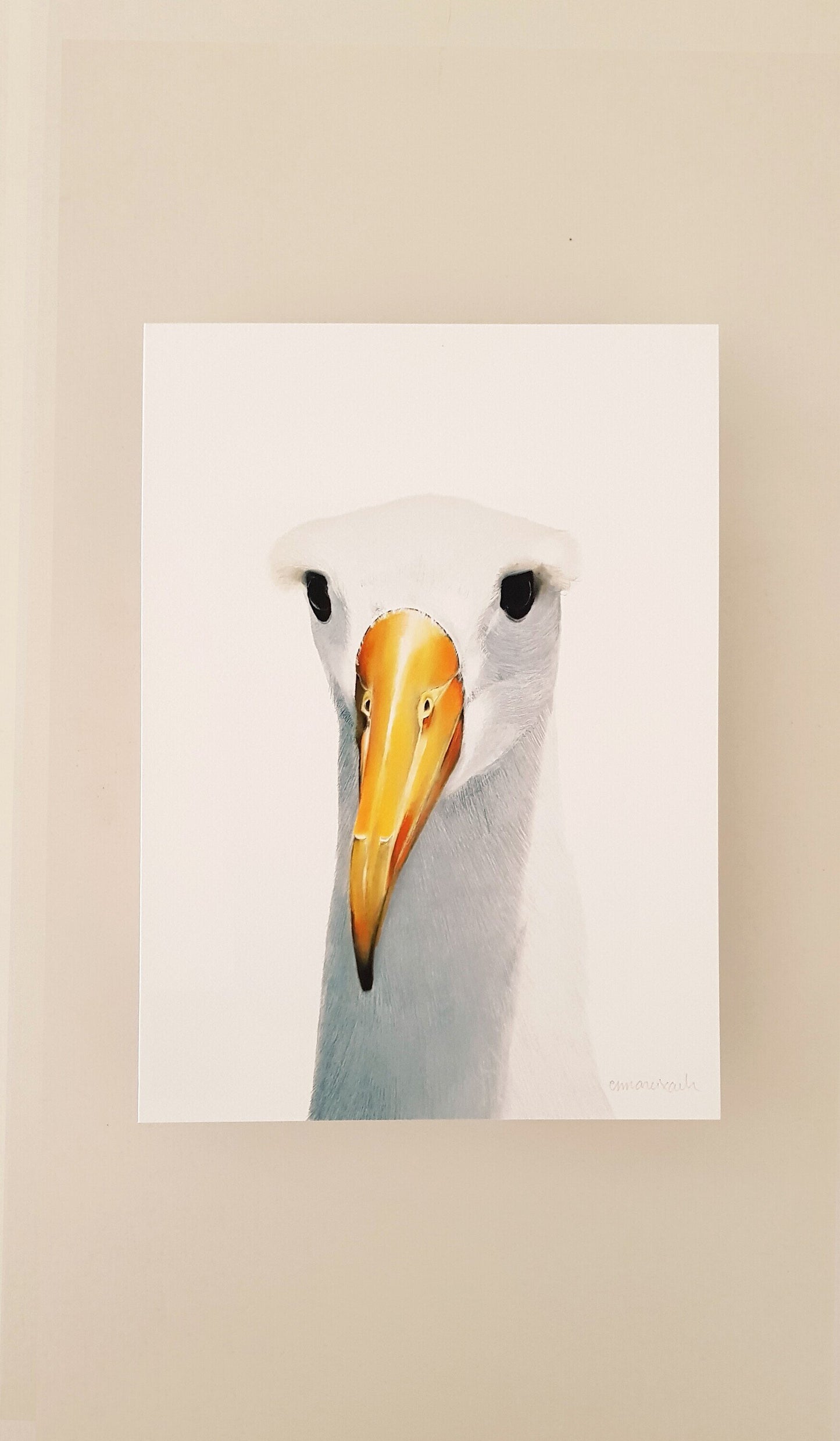 Print ALBATROS