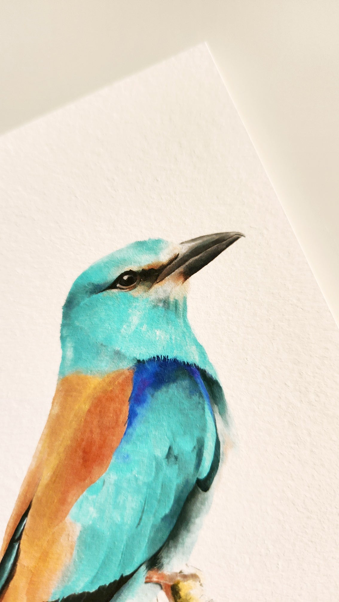 Print GAIG BLAU