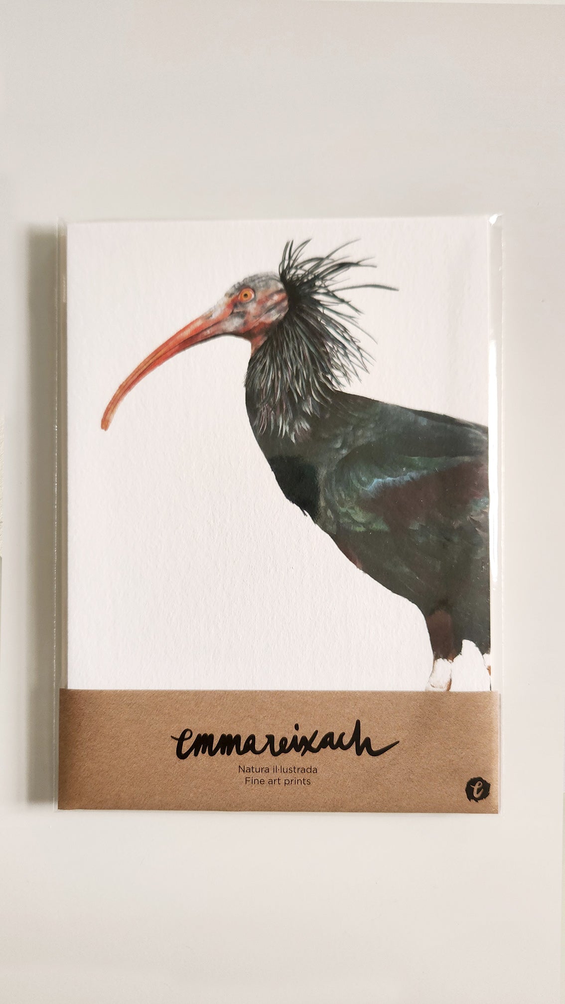 Lámina CHOCHÍN (Edición limitada)