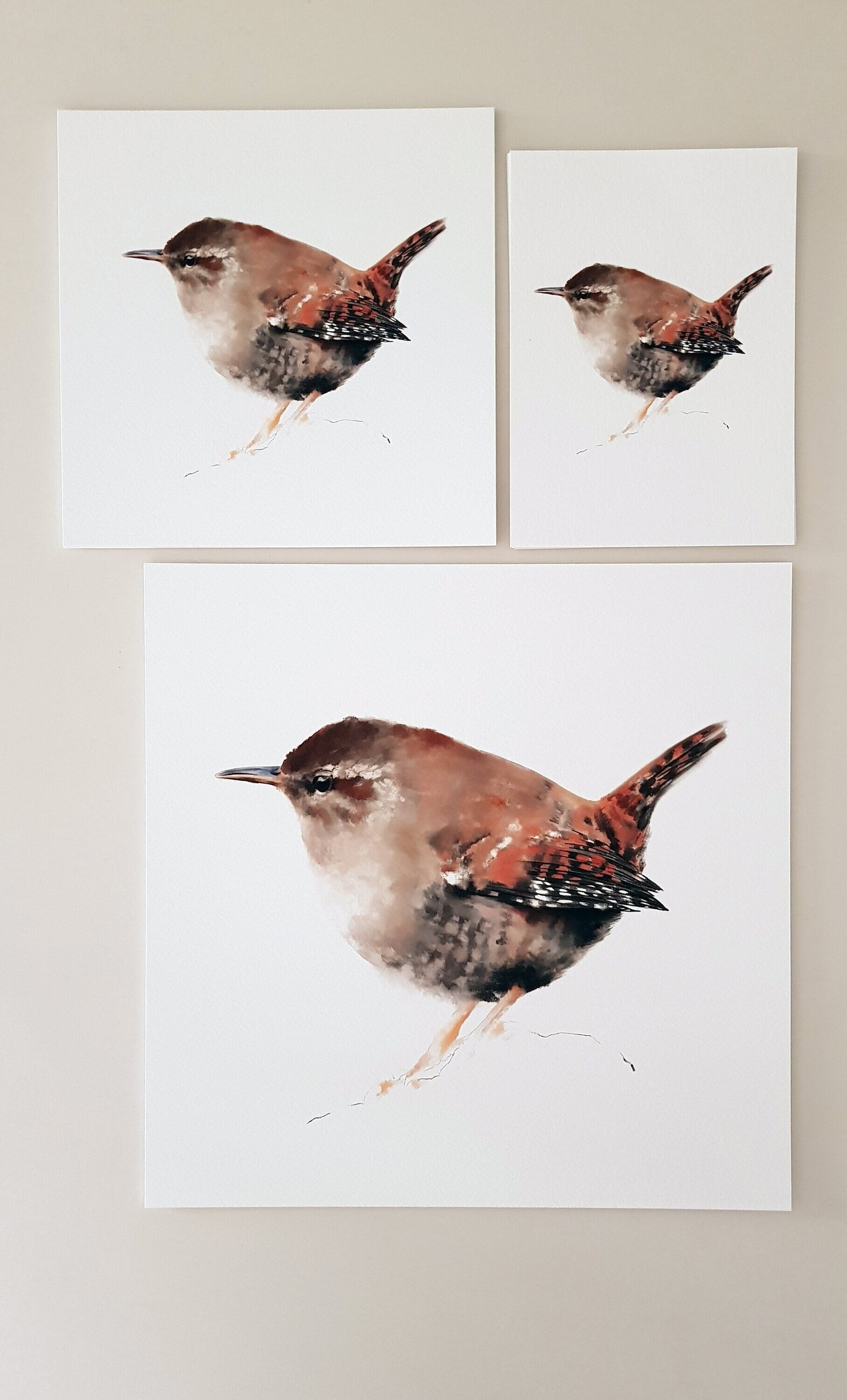 Print CARGOLET (Edició limitada)