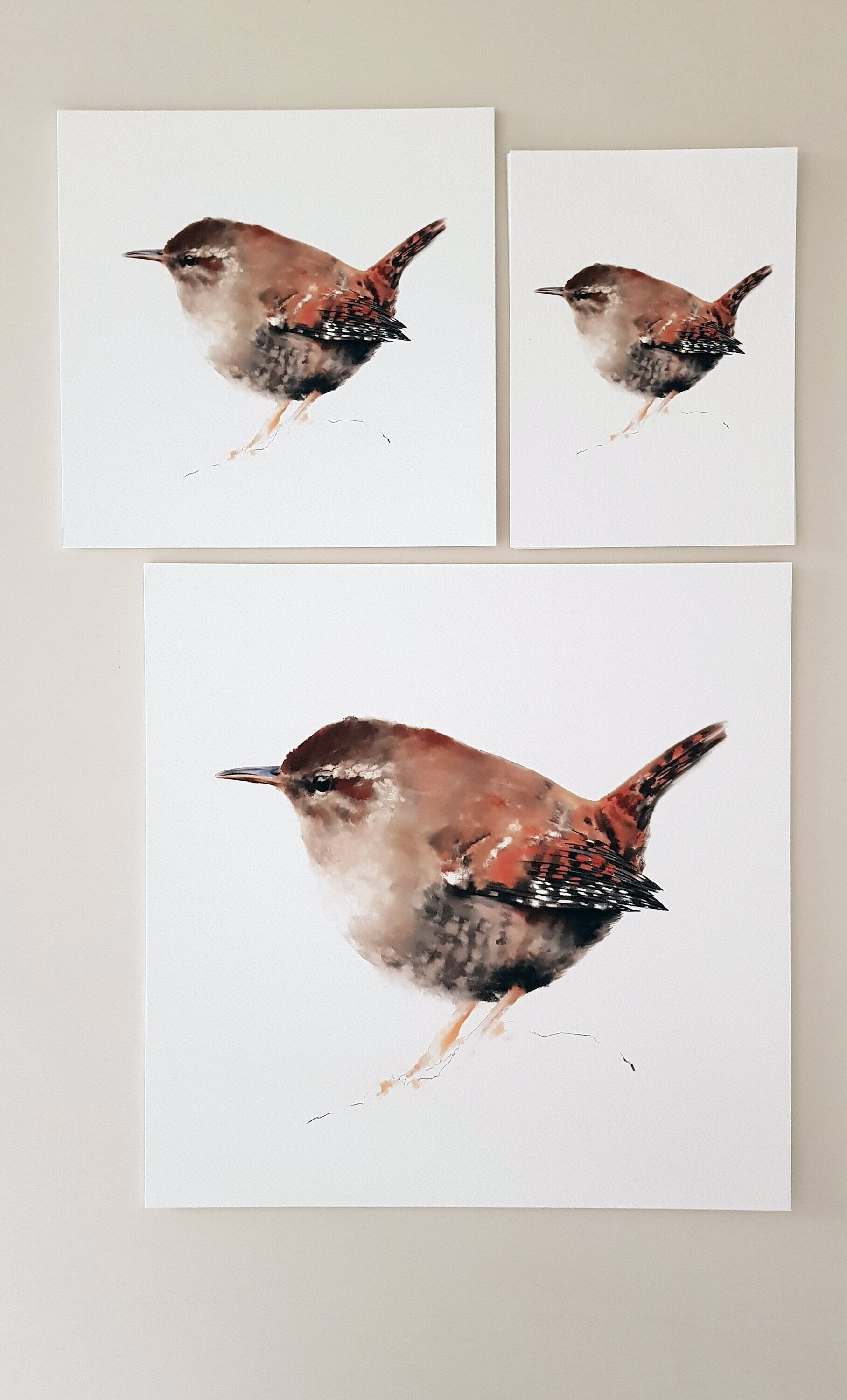 Print CARGOLET (Edició limitada)