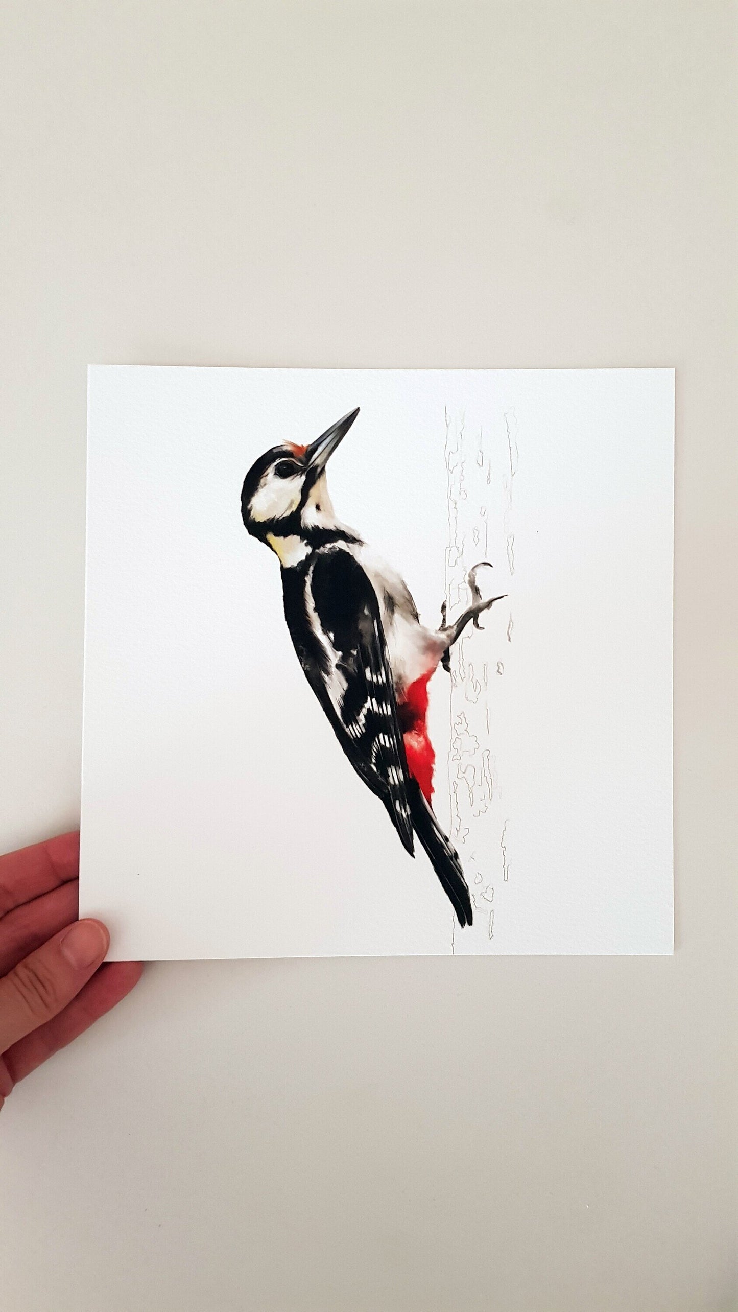 Print PICOT-GARSER (Edició limitada)