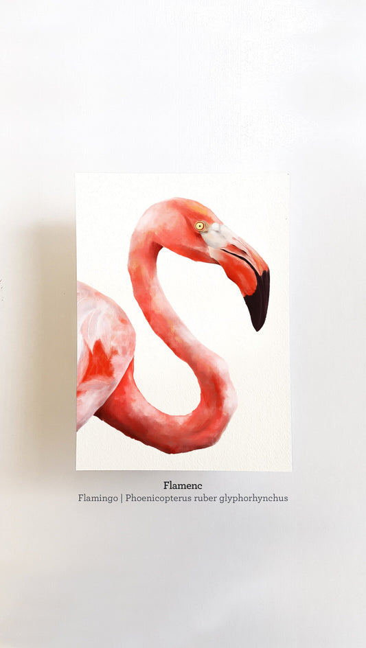 Print FLAMENC