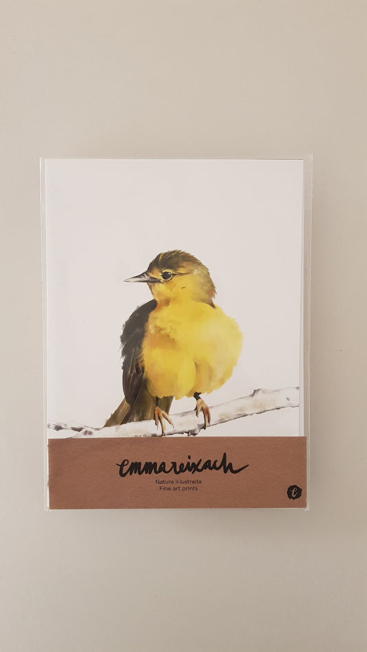 Print CANARI
