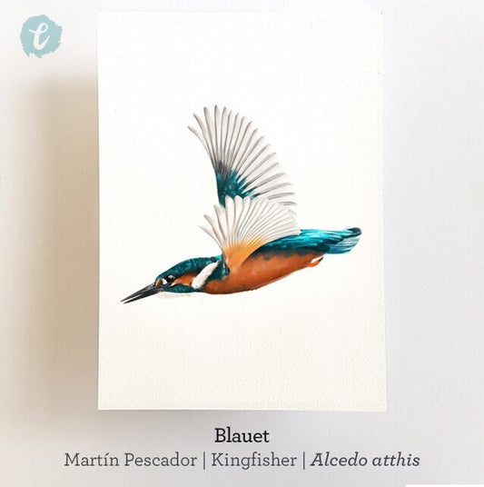 Print BLAUET (Edició limitada)