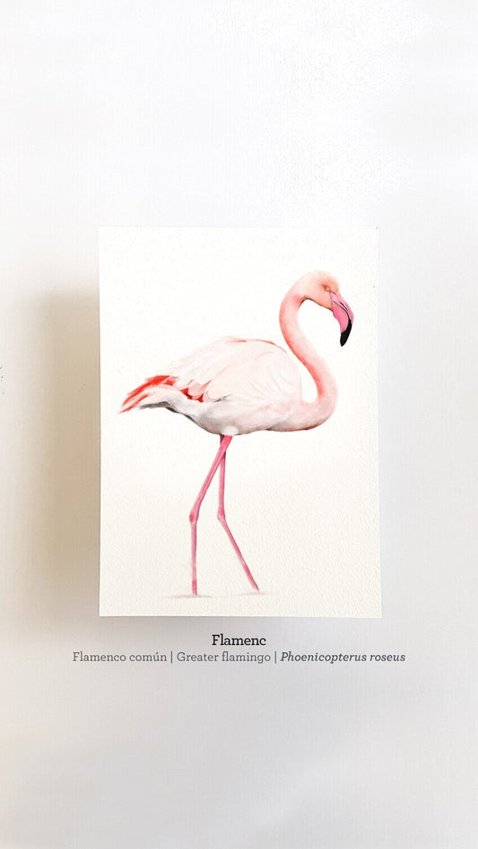 Print FLAMENC