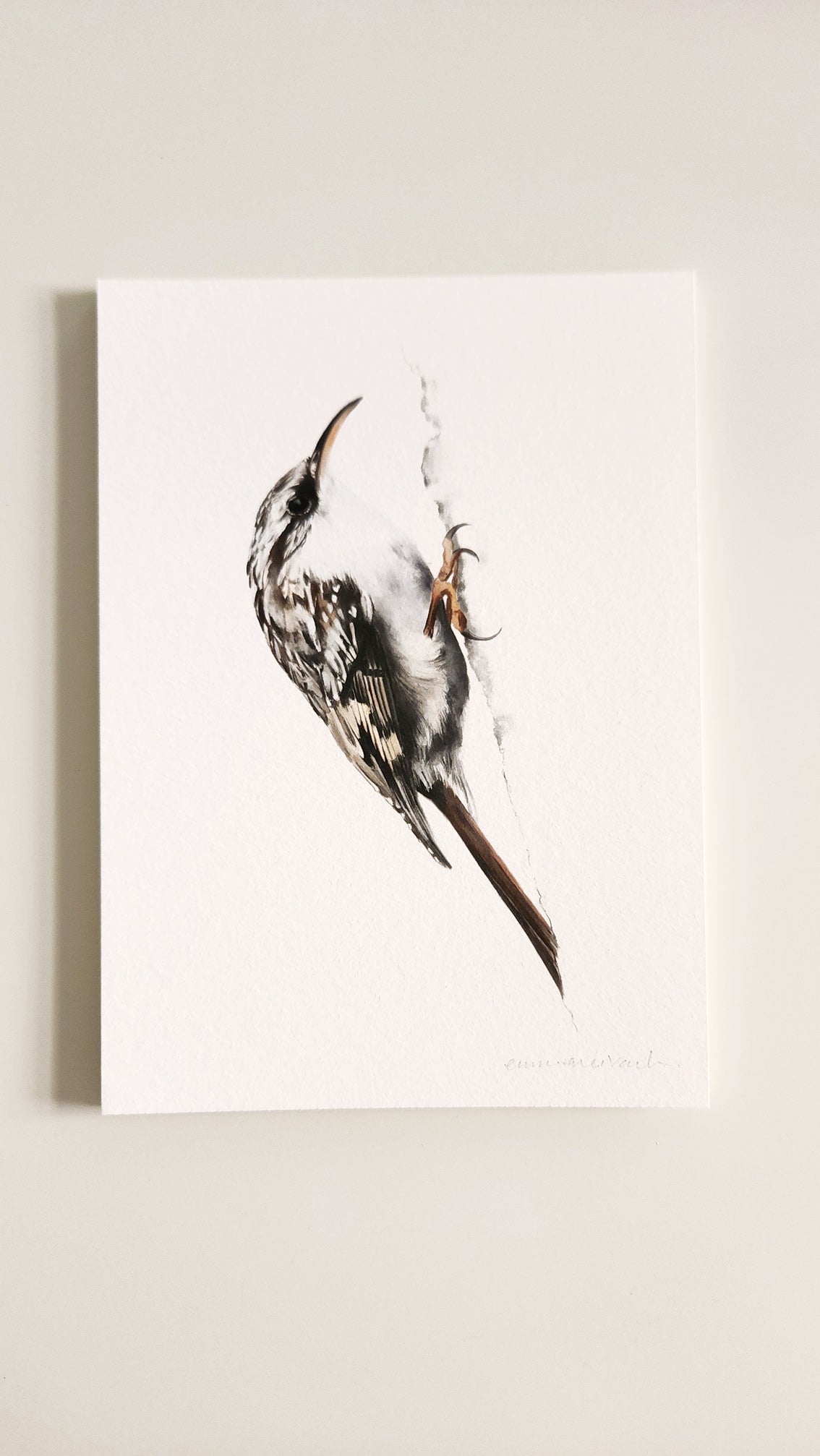 Print RASPINELL