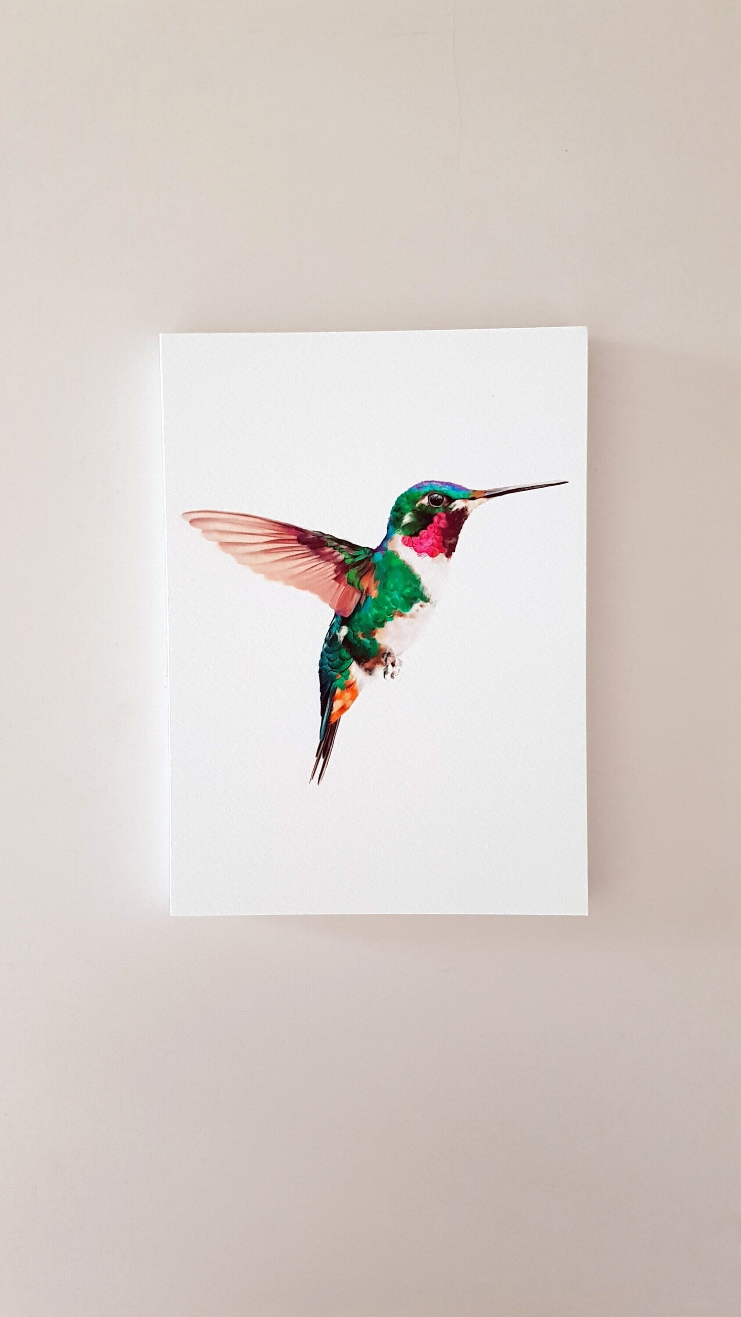 Print COLIBRÍ (Edició limitada)