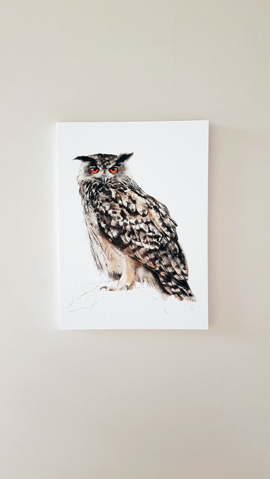Print DUC (Edició limitada)