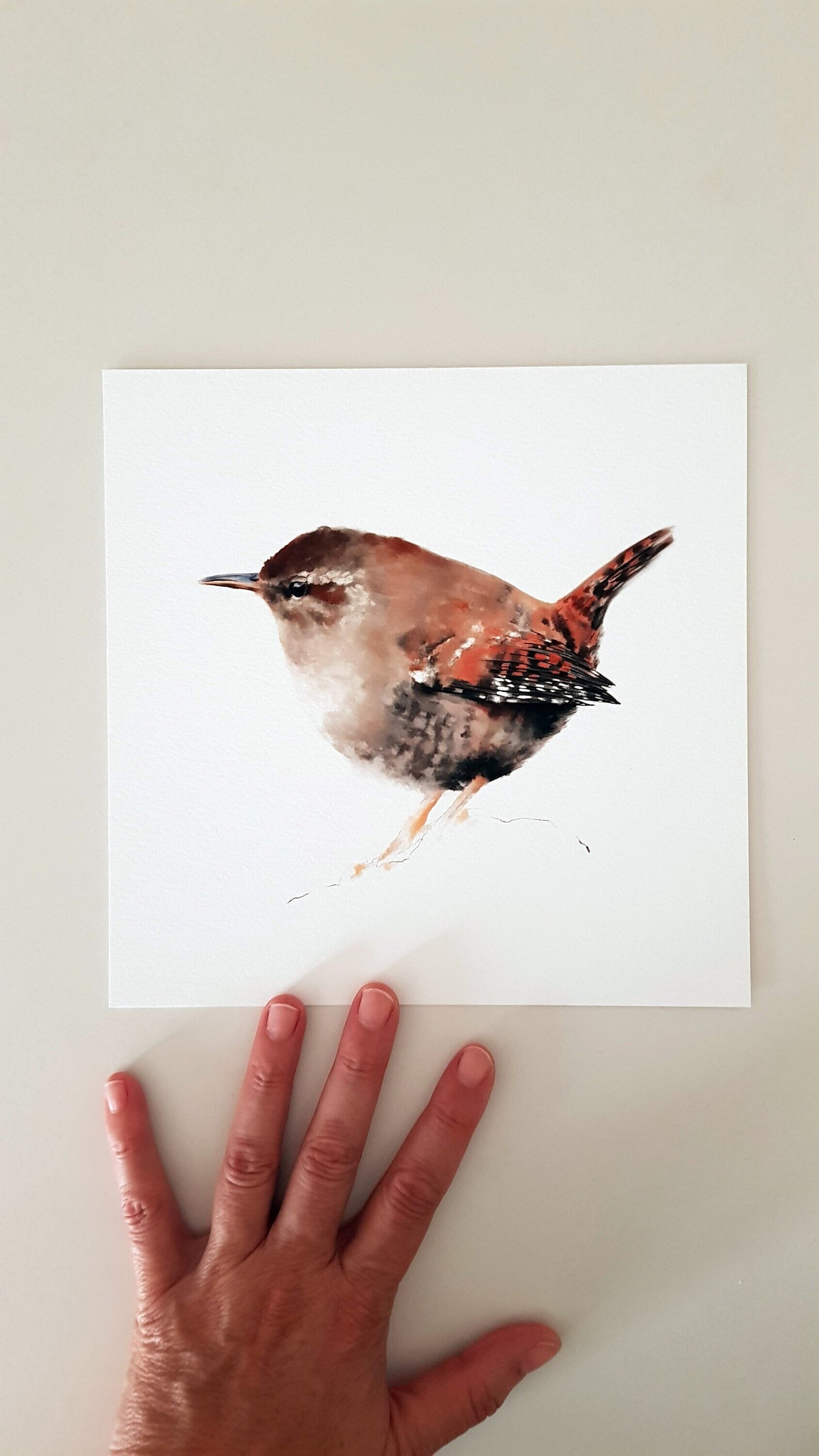 Print CARGOLET (Edició limitada)