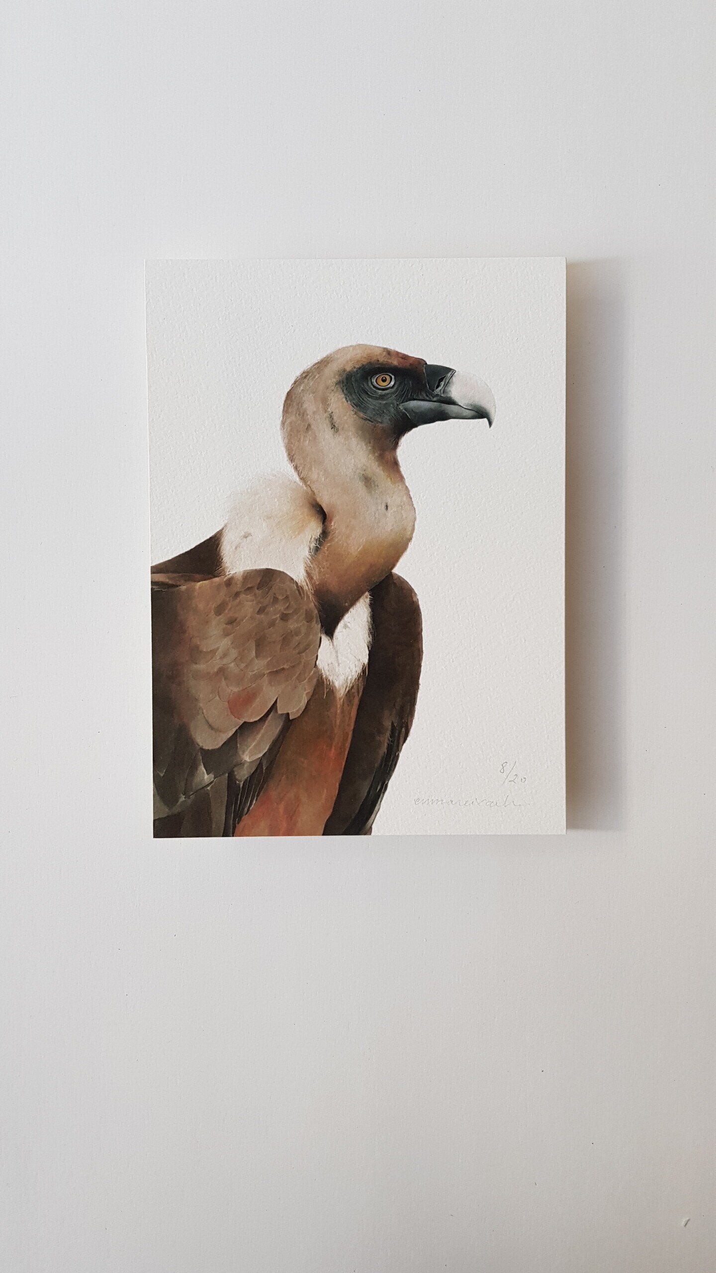 Print VOLTOR LLEONAT