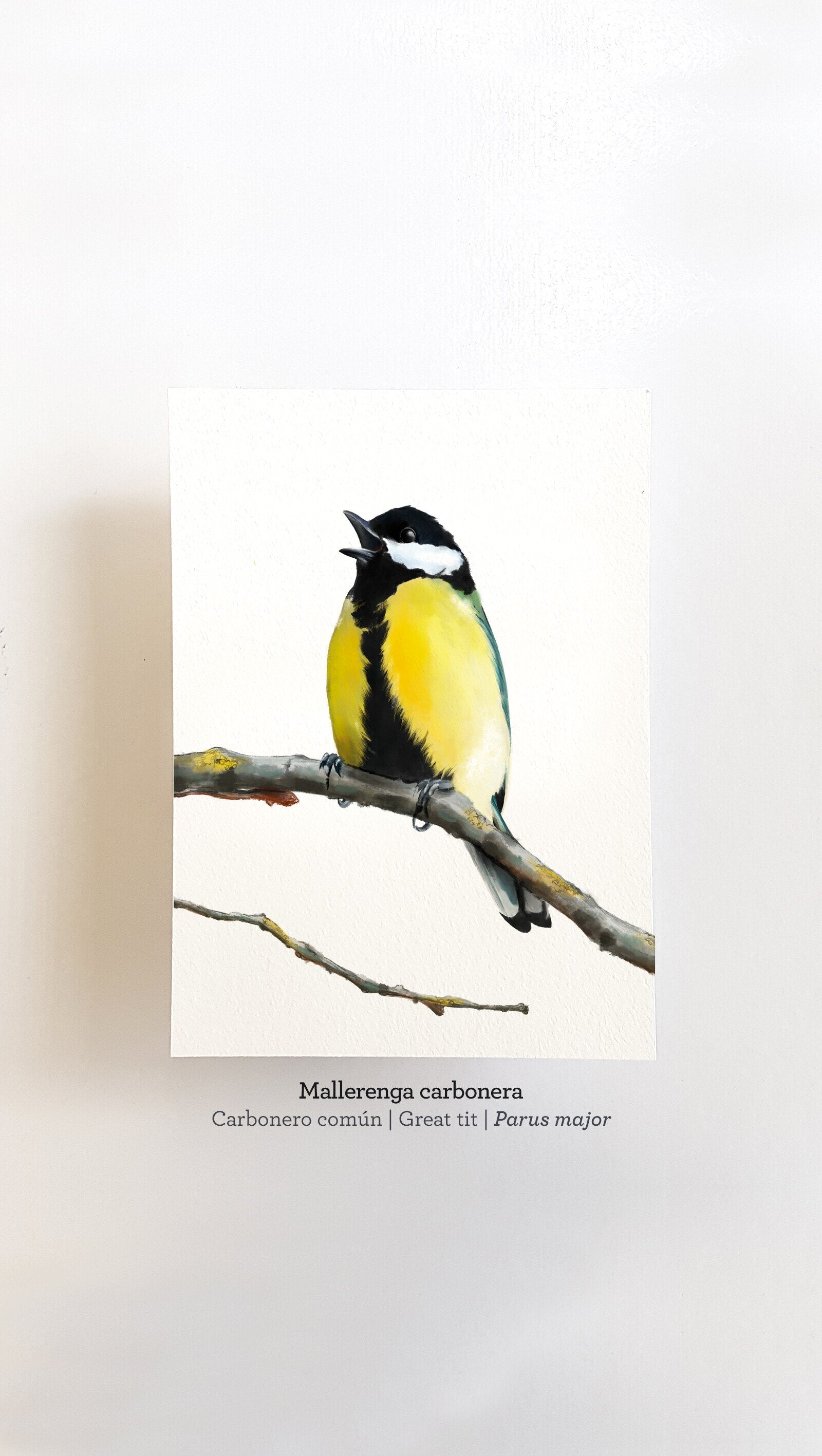 Print MALLERENGA CARBONERA
