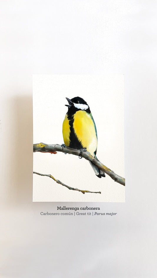 Print MALLERENGA CARBONERA