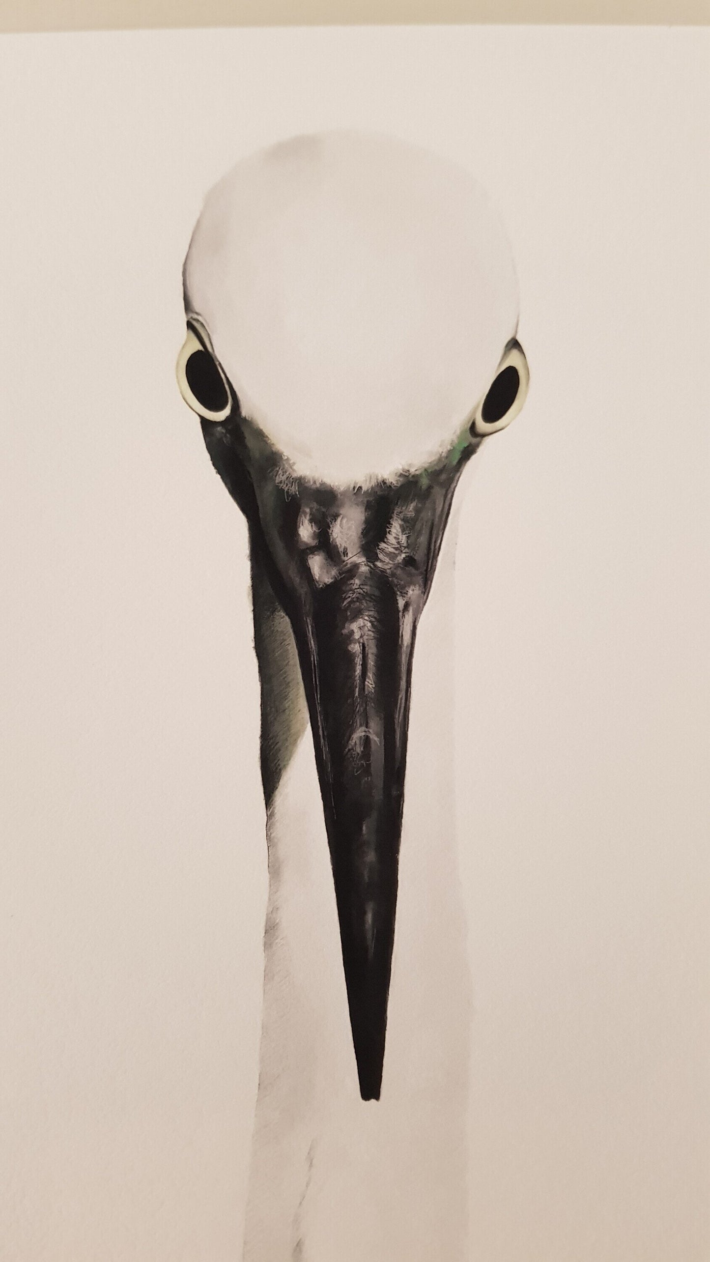 Print MARTINET BLANC