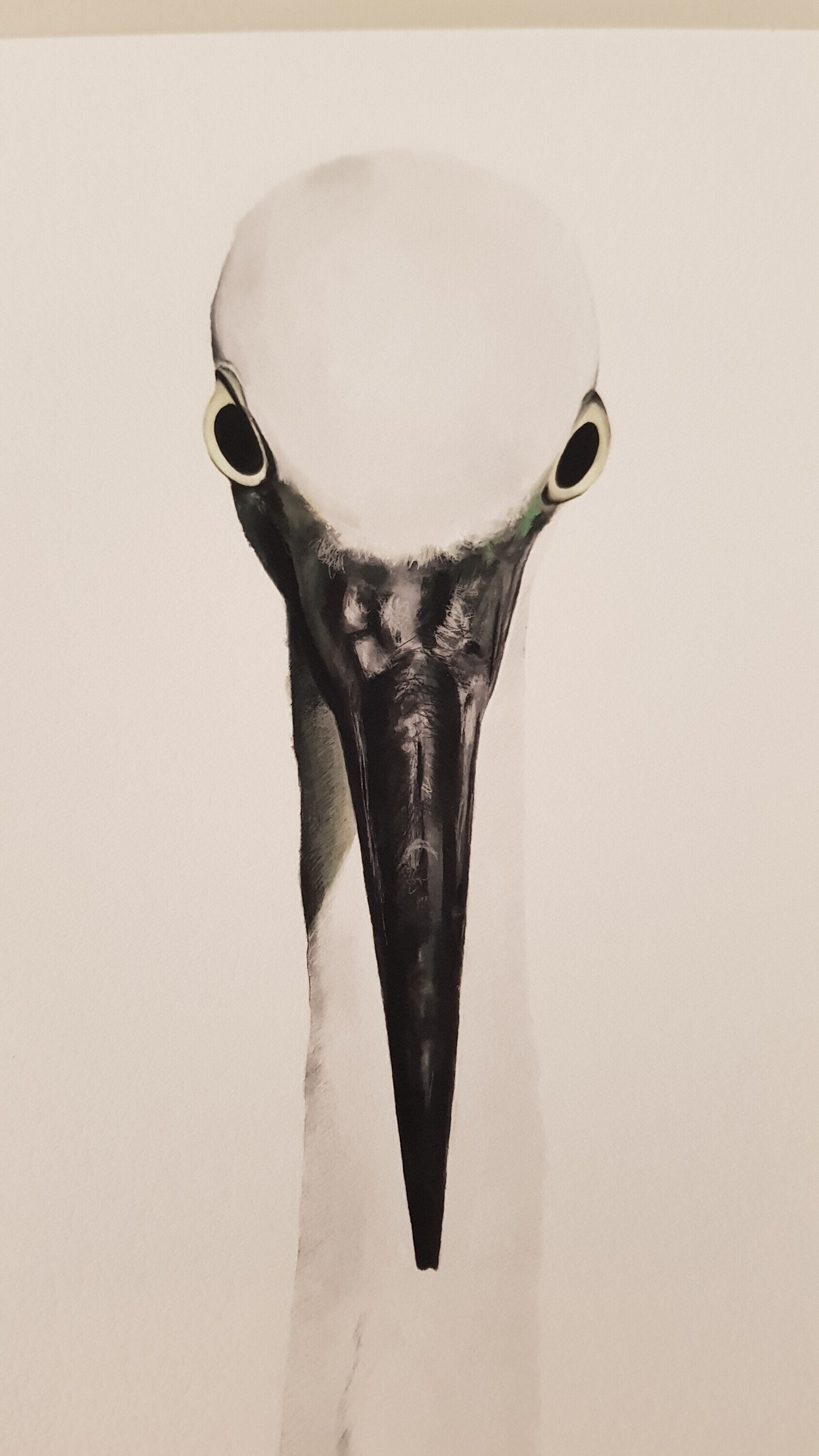 Print MARTINET BLANC