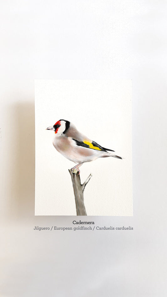 Print CADERNERA