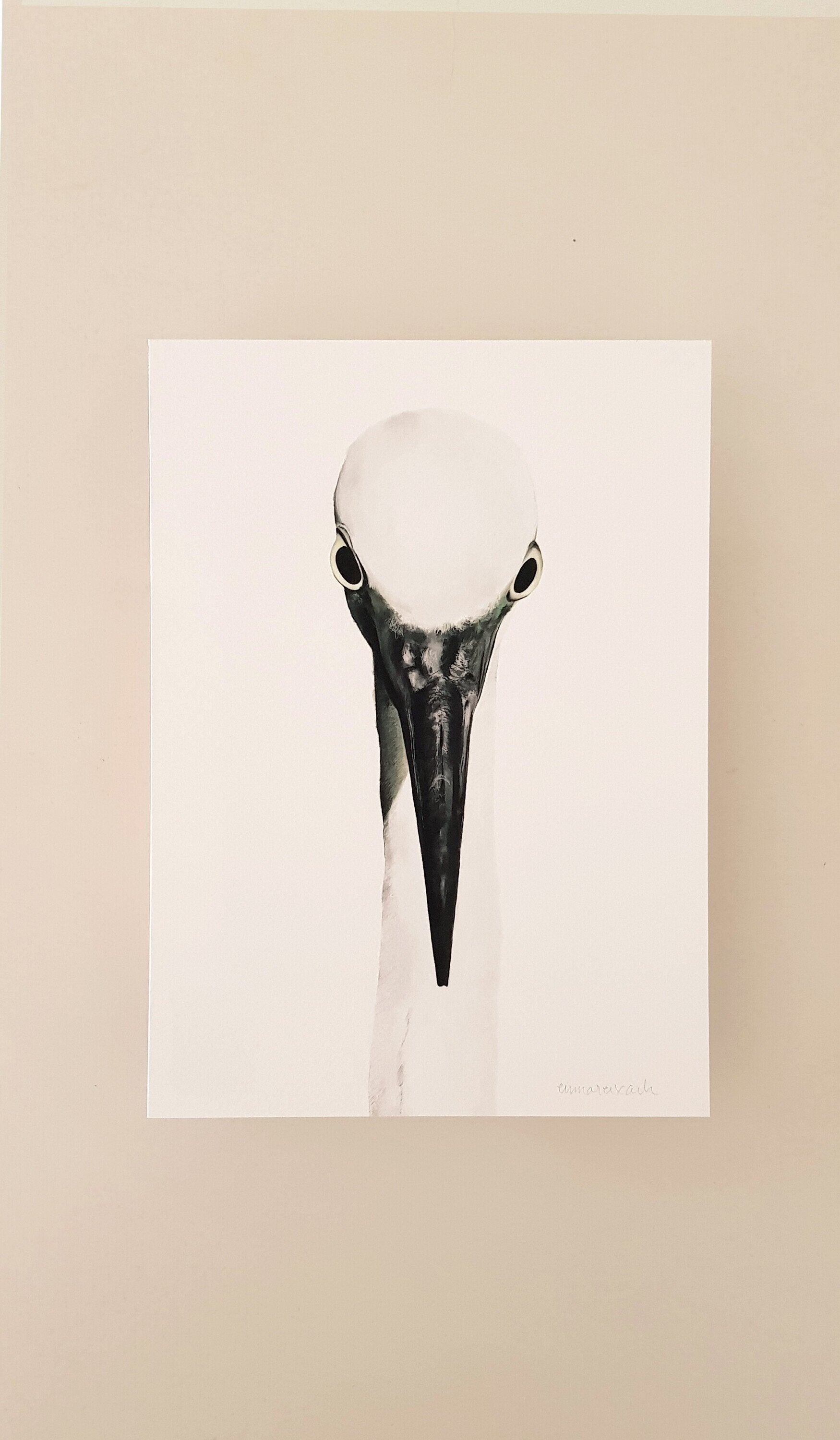 Print MARTINET BLANC