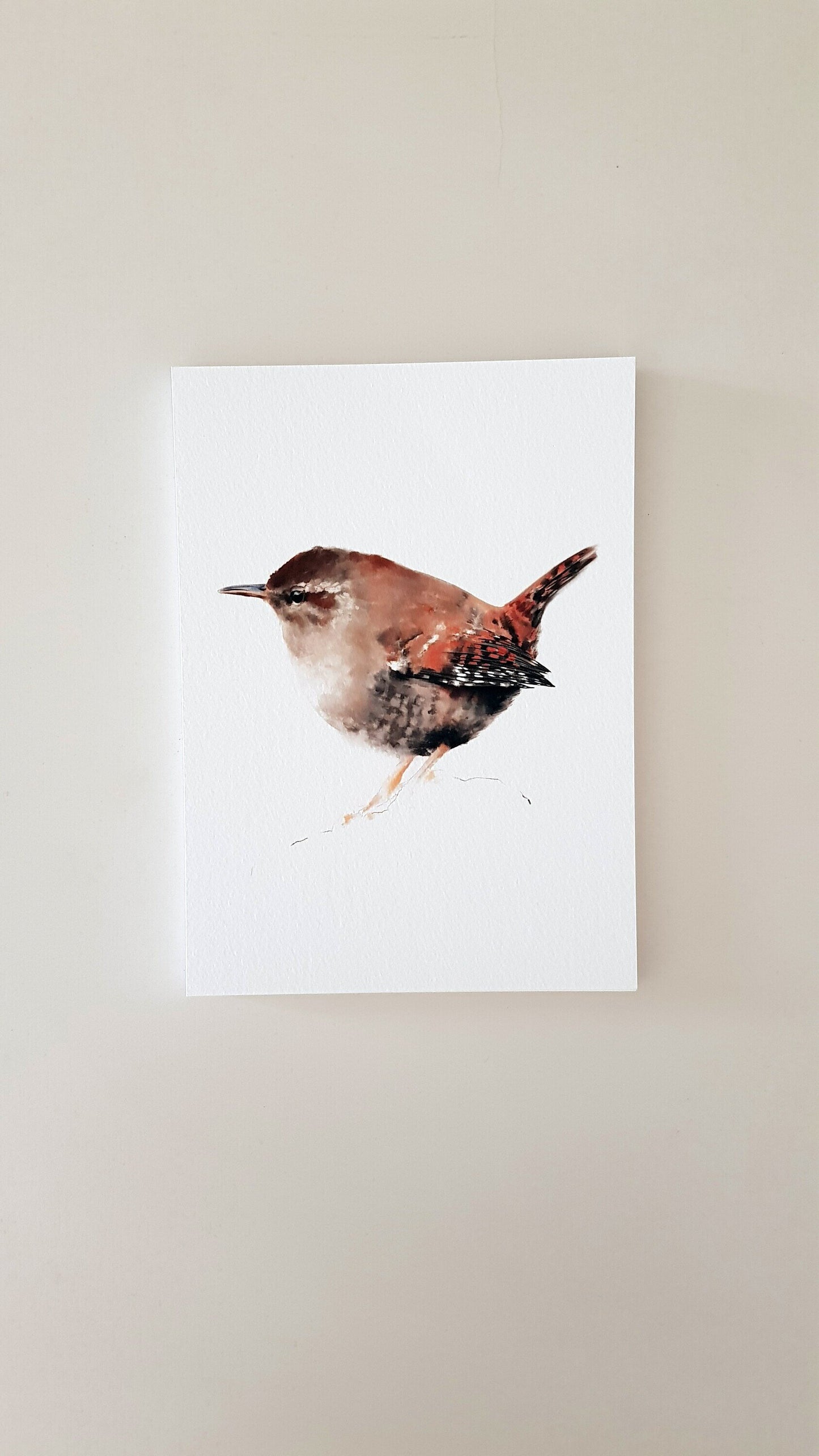 Print CARGOLET (Edició limitada)