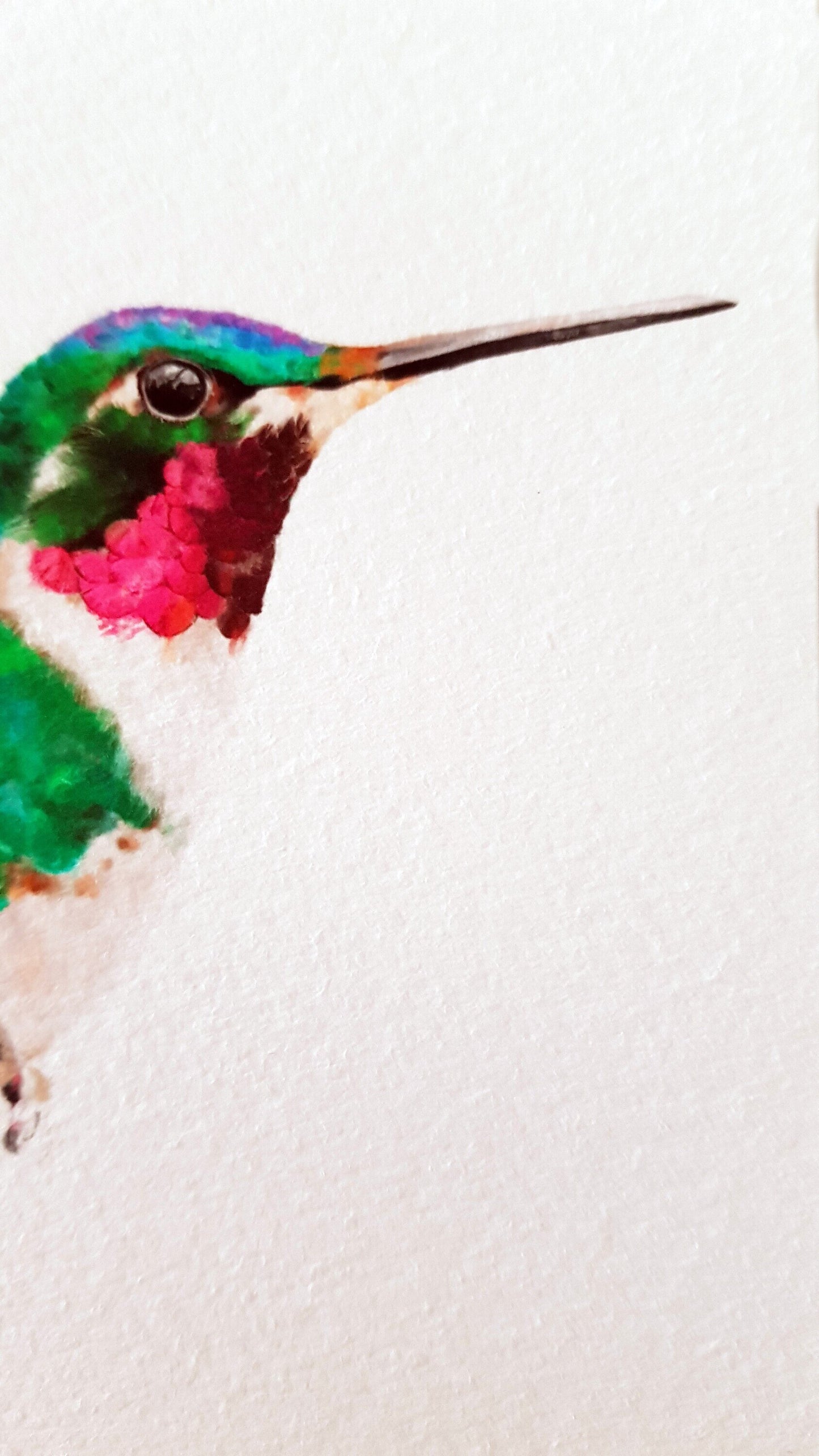 Print COLIBRÍ (Edició limitada)