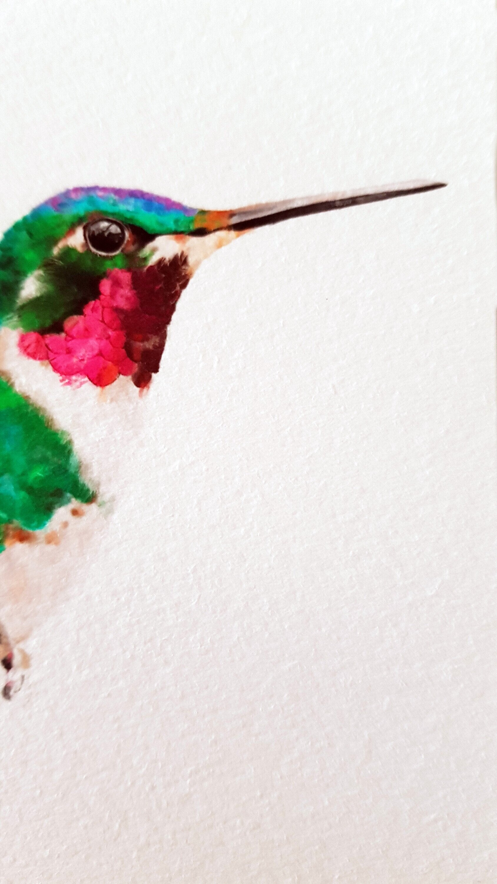 Print COLIBRÍ (Edició limitada)