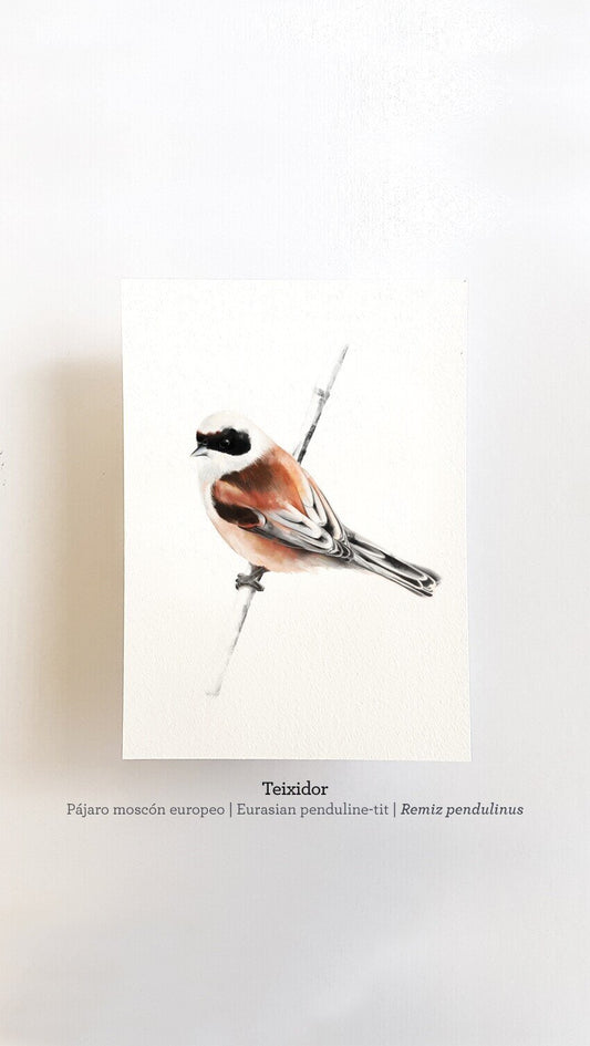 Print TEIXIDOR