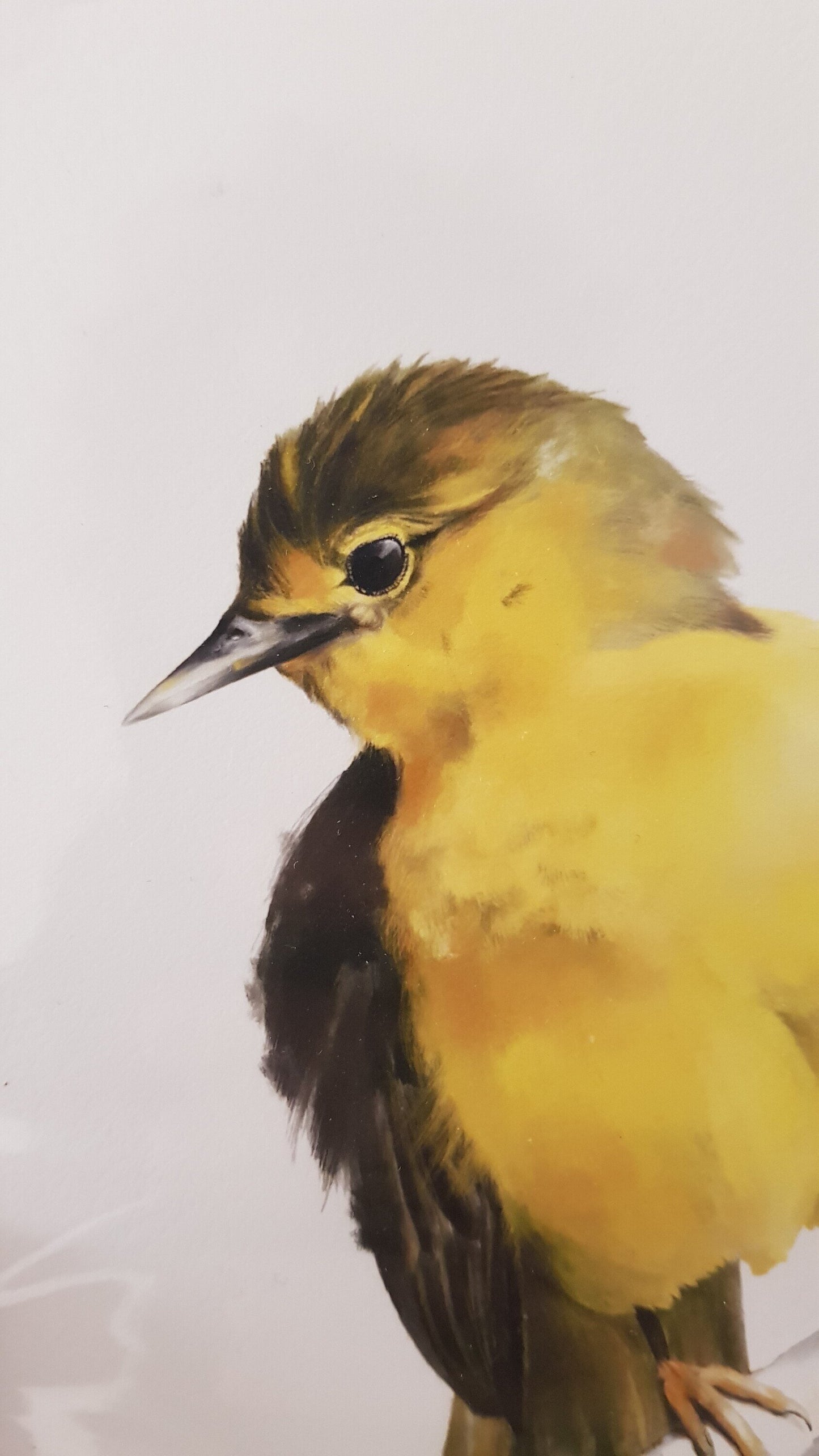 Print CANARI