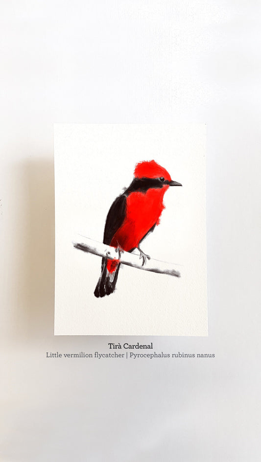 Print TIRÀ CARDENAL